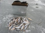 IMG_0348.jpg