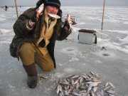 IMG_0352.jpg