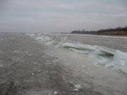 IMG_0357.jpg