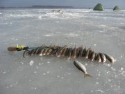 IMG_0358.jpg
