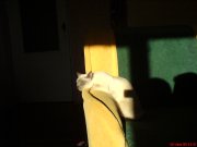 DSC00537.JPG