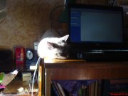 DSC00546.JPG