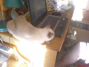 DSC00547.JPG