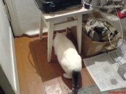 DSC00539.JPG