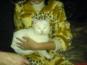 DSC00542.JPG
