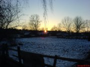 DSC00544.JPG