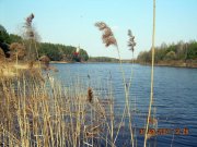 DSCN3002.JPG