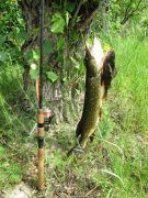 IMG_3388.jpg