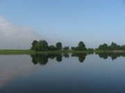 IMG_8784.jpg