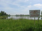 IMG_8819.jpg