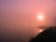 IMG_5695.JPG
