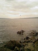 Photo-0013.jpg
