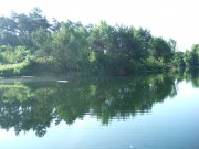DSCF3446.JPG