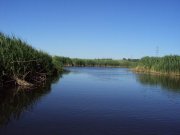 DSC02000.JPG