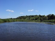 DSC02004.JPG