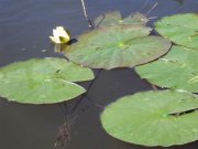 DSC02009.JPG