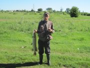 IMG_0906.jpg