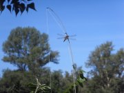 SDC12570.JPG