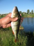 IMG_0959.JPG