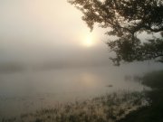 07.06.10 021.jpg