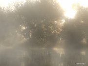 07.06.10 030.jpg