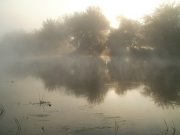 07.06.10 032.jpg