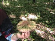 IMG_2055.JPG