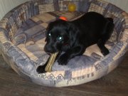 05062010278.jpg