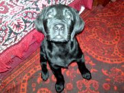 08062010279.jpg
