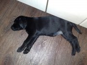 08062010280.jpg
