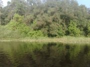 03062010385.jpg