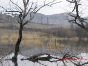 CIMG0367.JPG