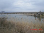 CIMG0378.JPG