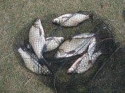 20100610_21.jpg