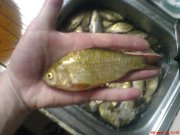 DSC00651.JPG