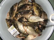 IMG_7088.jpg