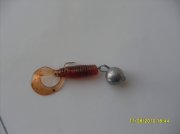 SDC12540.jpg