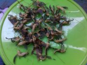 12062010084.jpg