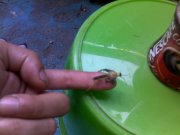 12062010087.jpg
