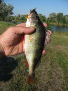 IMG_0963.JPG