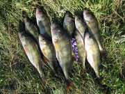 IMG_0968.JPG