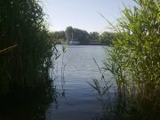 07062010216.jpg