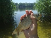 10062010220.jpg