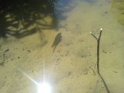 10062010221.jpg