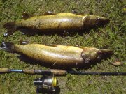 DSC01179.JPG