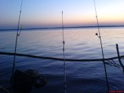 DSC00353.JPG