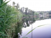 15.06-1.jpg