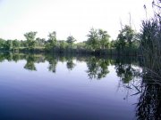 15.06-3.jpg