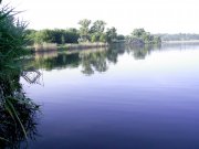 15.06-4.jpg