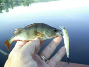15.06-6.jpg